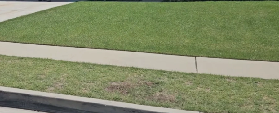 Bermudagrass in Killeen TX full sun lawn care