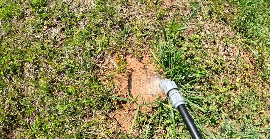 fire ants Killeen TX lawn treatment guide
