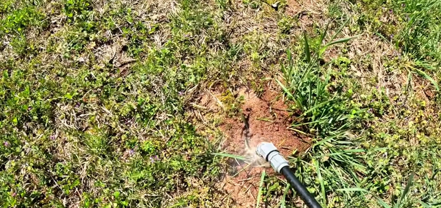 why fire ants thrive in Killeen TX Blackland Prairie clay lawns