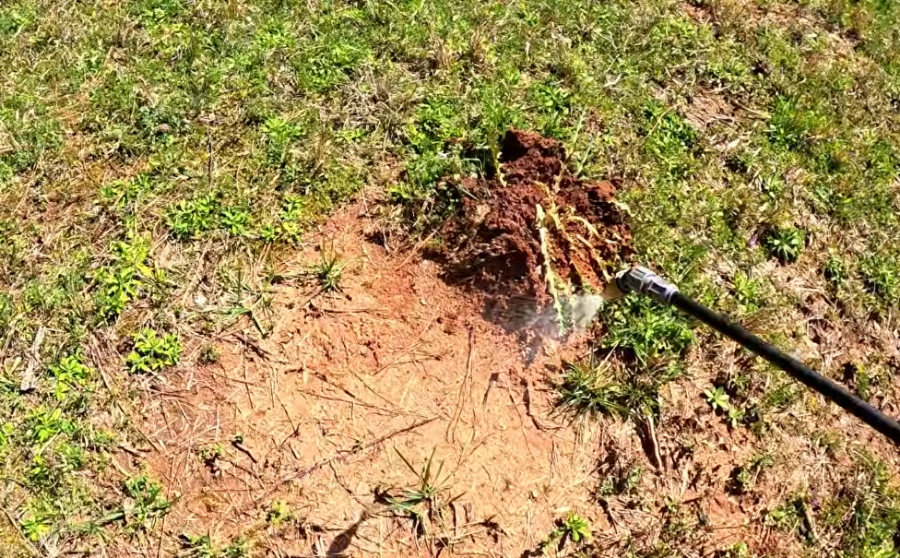 fire ant treatment options for Killeen TX lawns