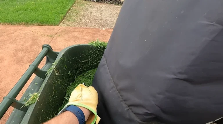 mowing fertilization schedule for green lawn Killeen TX Bermudagrass