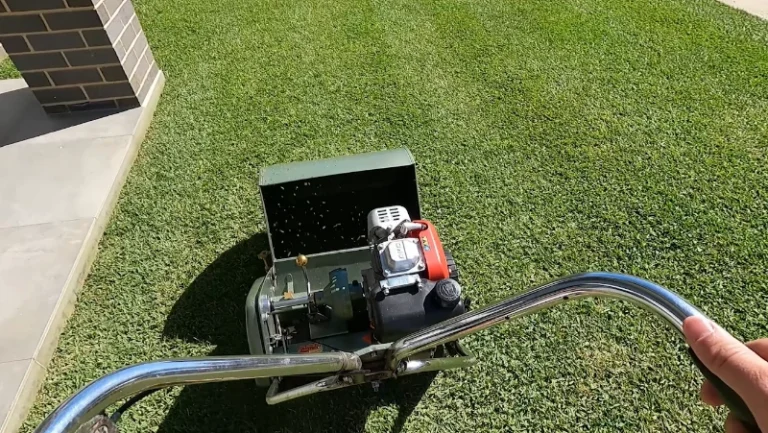 Bermudagrass mowing height schedule Killeen TX professional lawn service