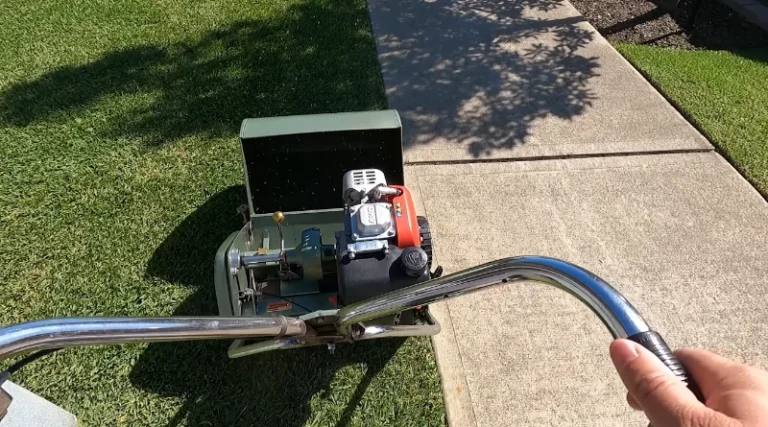 weed control killeen tx lawn Bermudagrass pre-emergent post-emergent service
