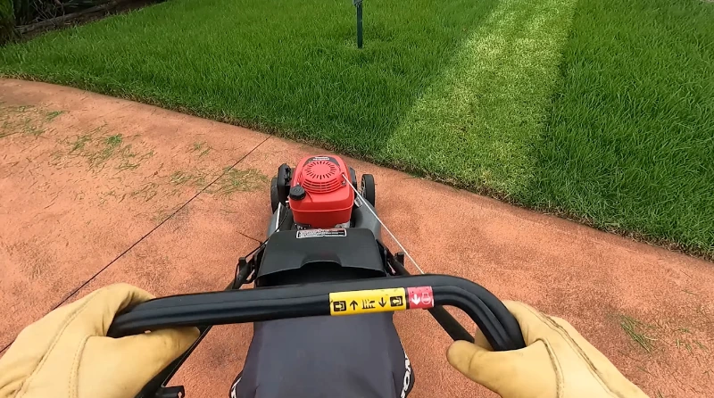Lawn fertilization service Killeen TX — Bermudagrass green healthy residential Central Texas