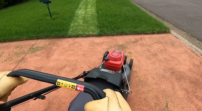 Weed control lawn service Killeen TX — Bell County dallisgrass nutsedge crabgrass