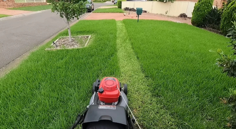 reliable lawn service in Killeen TX mowing Bermudagrass lawn