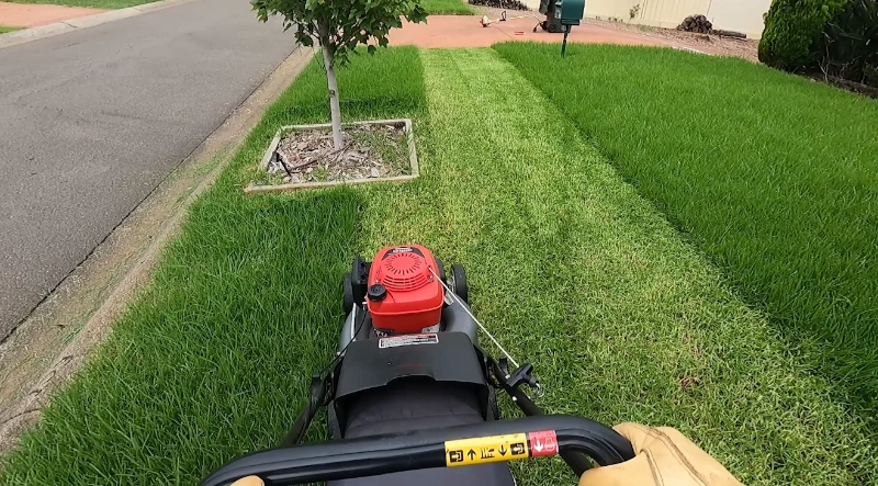 contact Killeen Lawn Service for same-day lawn care
