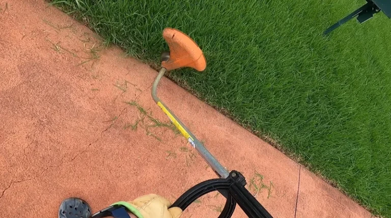 professional lawn care help beginners Killeen TX Bermudagrass