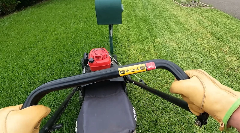 how to get a green lawn in Killeen TX Bermudagrass care guide