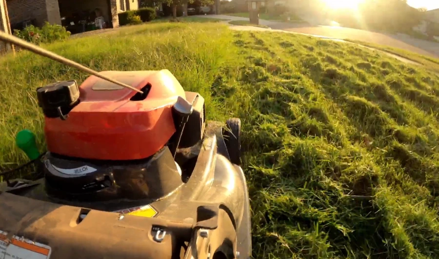 lawn care calendar Killeen TX 2026 month by month guide