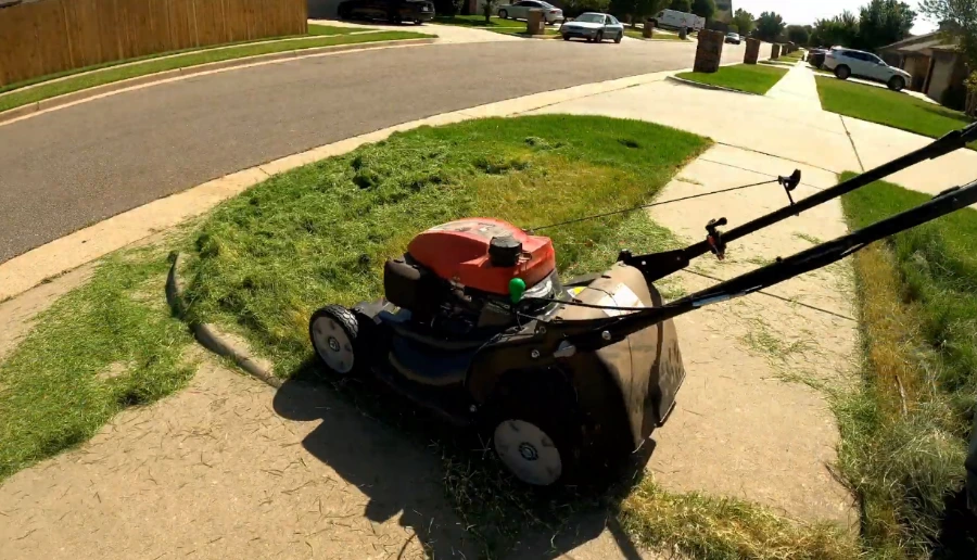 summer fall lawn care Killeen TX Bermudagrass mowing schedule