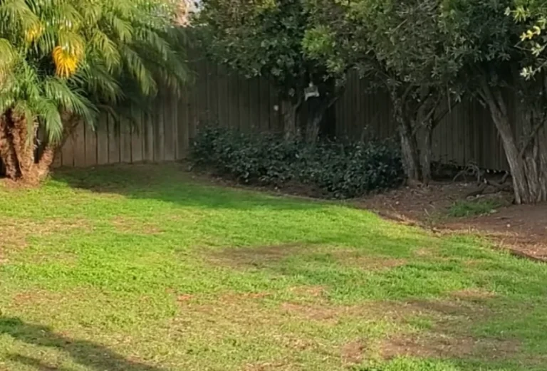 rental property lawn care killeen tx residential yard maintenance