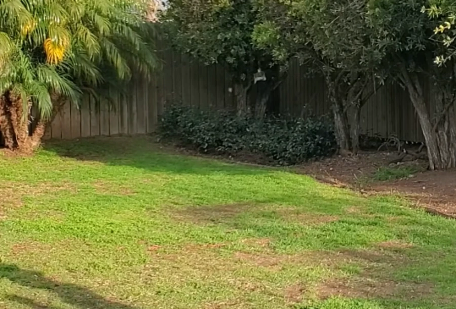 rental property lawn care Killeen TX landlord guide