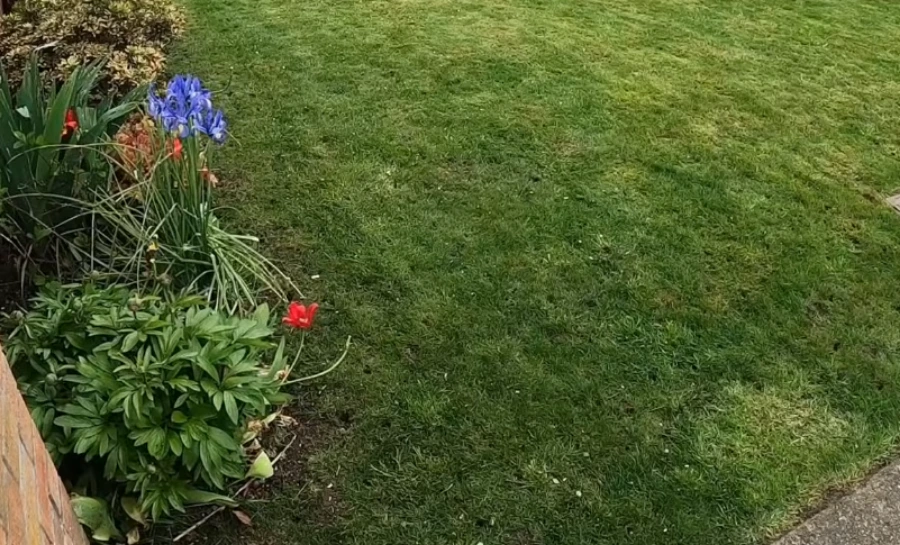 Killeen TX rental property lawn maintenance for landlords
