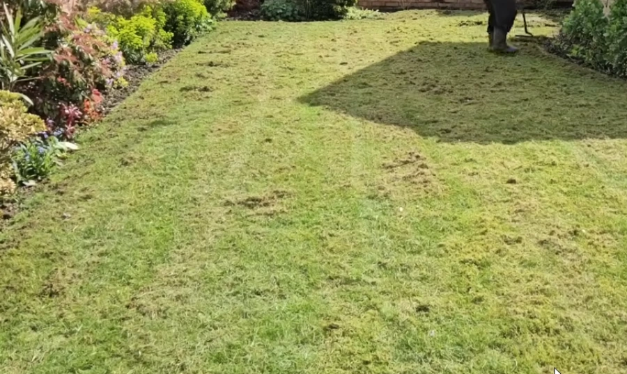 move out and move in lawn service for Killeen TX rental property