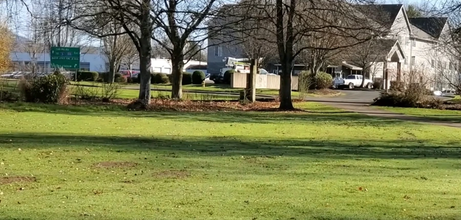 brown lawn Killeen TX dead or dormant Bermudagrass