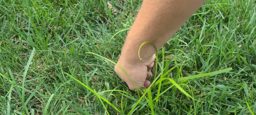 why pulling nutsedge in Killeen TX lawn makes nutgrass worse