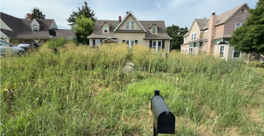 Overgrown front yard in Heritage Oaks Killeen before lawn cleanup