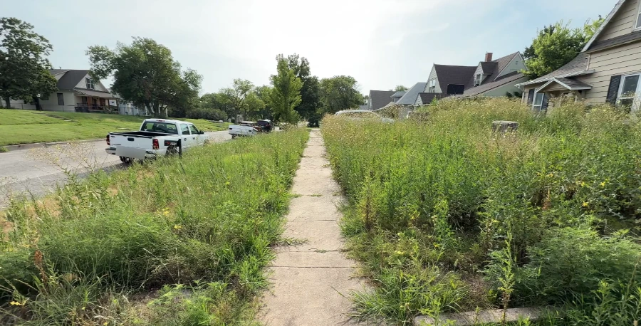 Overgrown sidewalk and lawn perimeter in Yowell Ranch Killeen before cleanup
